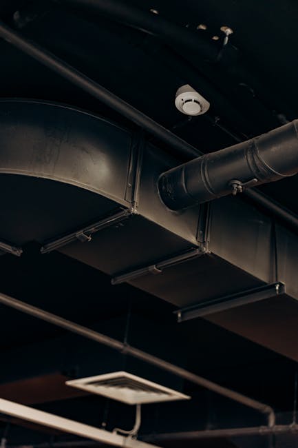 pexels photo 8297856 &raquo; Sofatesten
